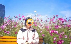 麻豆啊传媒app黄版破解免费